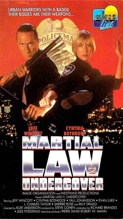 Movies Martial Law II: Undercover poster