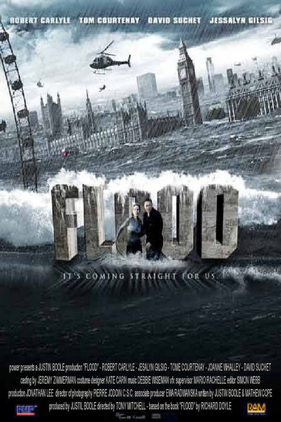Movies Flood poster