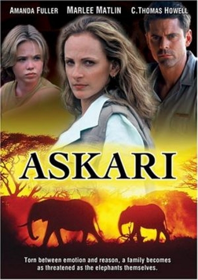 Movies Askari poster