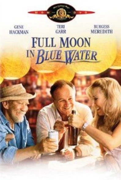 Movies Full Moon in Blue Water poster