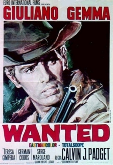 Movies Wanted poster