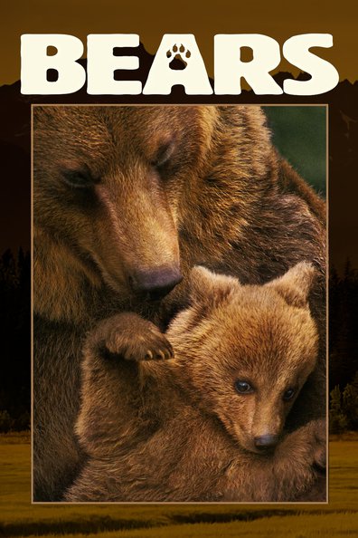 Movies Bears poster
