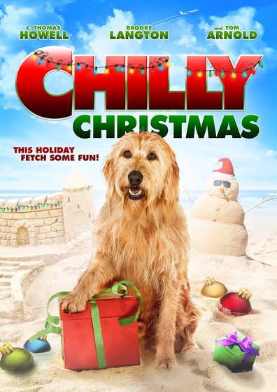 Movies Chilly Christmas poster