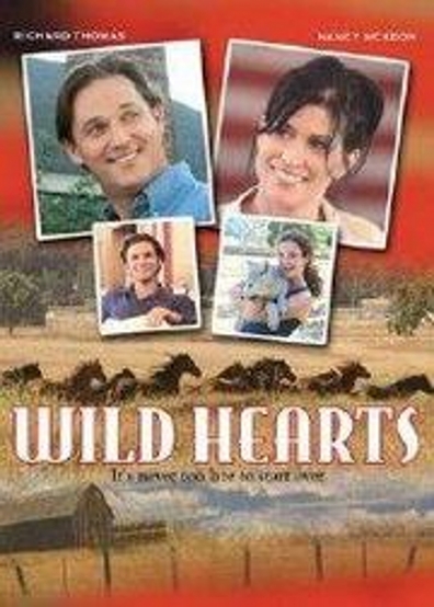 Movies Wild Hearts poster