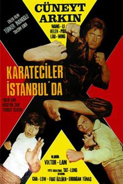 Movies Karateciler istanbulda poster