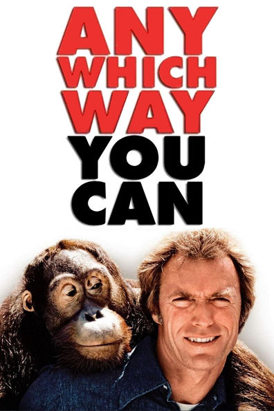 Movies Any Which Way You Can poster