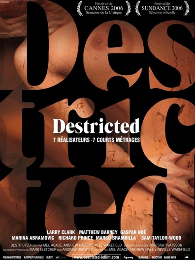 Movies Destricted poster