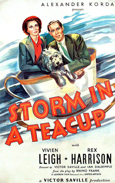 Movies Storm in a Teacup poster