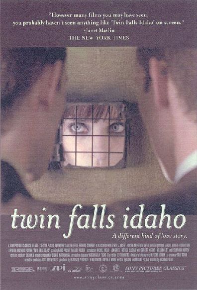Movies Twin Falls Idaho poster