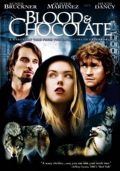 Movies Blood and Chocolate poster