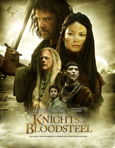 Movies Knights of Bloodsteel poster