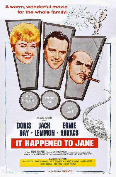 Movies It Happened to Jane poster