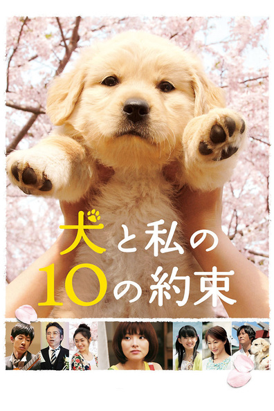 Movies Inu to watashi no 10 no yakusoku poster