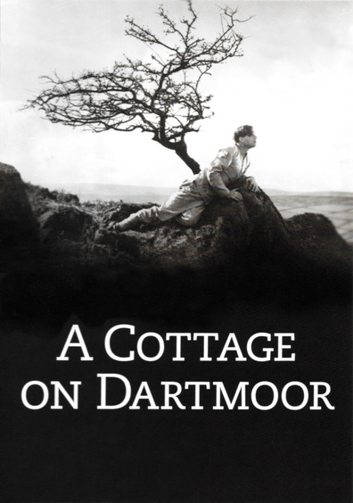 Movies A Cottage on Dartmoor poster