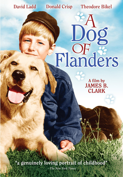 Movies A Dog of Flanders poster