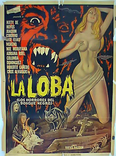 Movies La loba poster