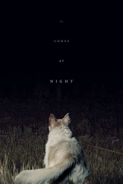 Movies It Comes at Night poster