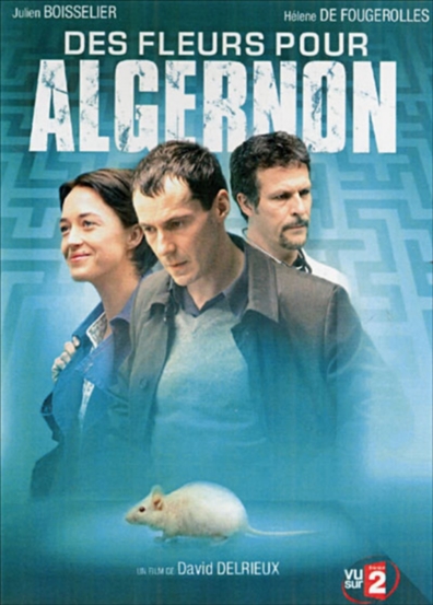 Movies Des fleurs pour Algernon poster