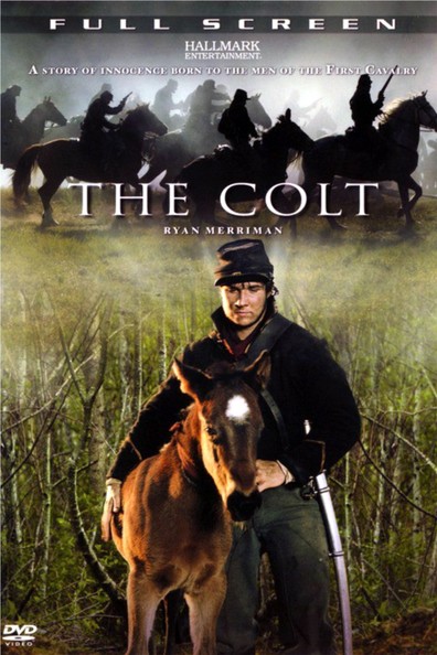 Movies The Colt poster