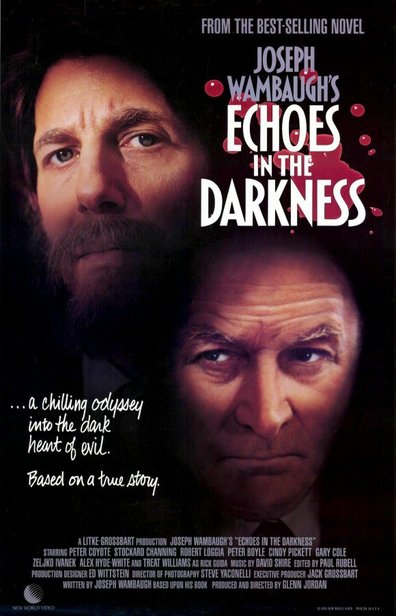 Movies Echoes in the Darkness poster