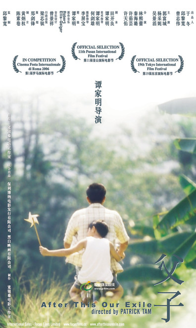 Movies Fu zi poster