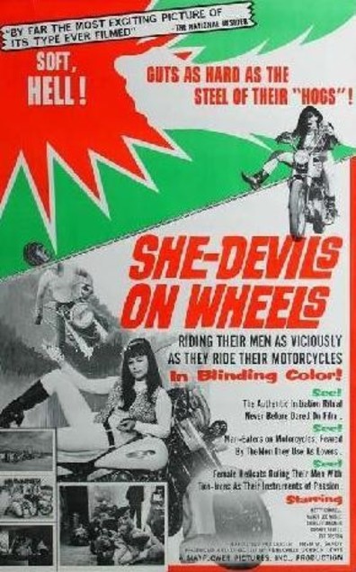 Movies She-Devils on Wheels poster
