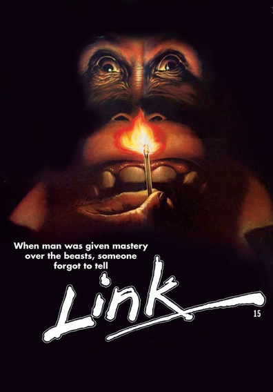 Movies Link poster