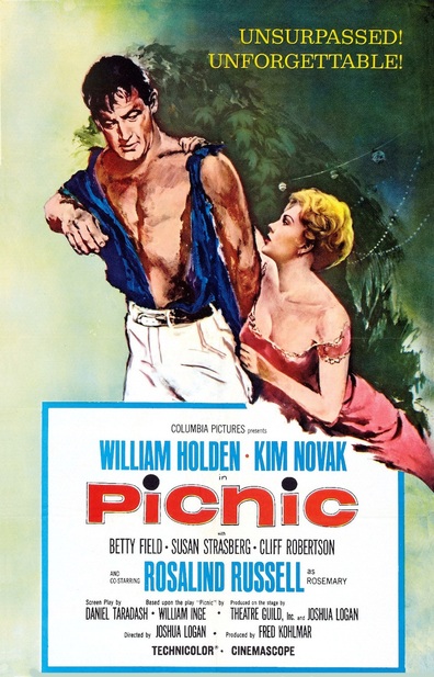 Movies Picnic poster