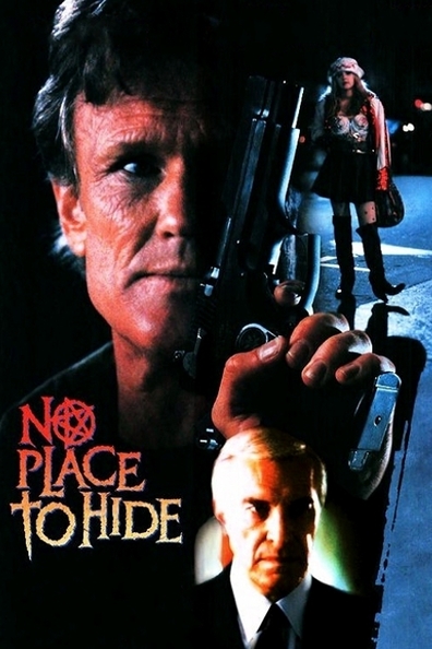 Movies No Place to Hide poster