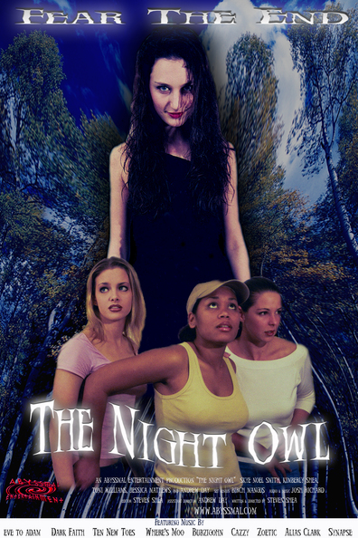 Movies The Night Owl poster