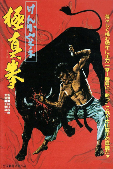 Movies Kenka karate kyokushinken poster