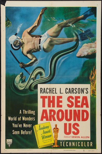 Movies The Sea Around Us poster