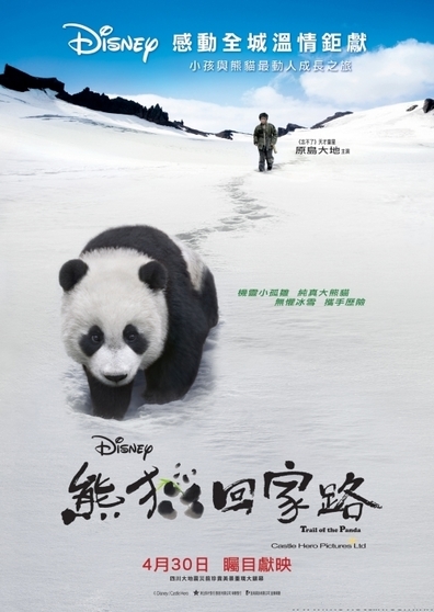 Movies Xiong mao hui jia lu poster