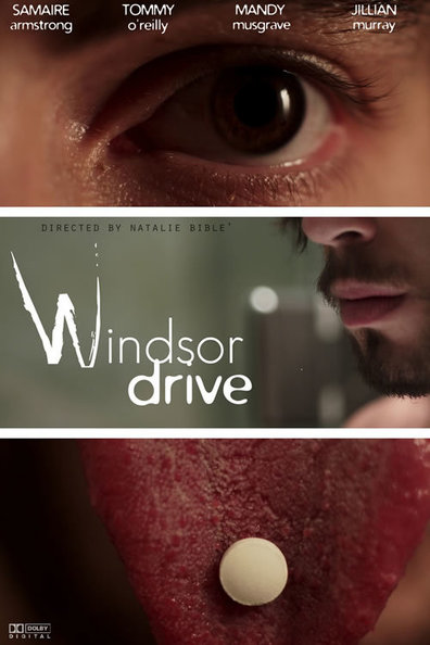 Movies Windsor Drive poster