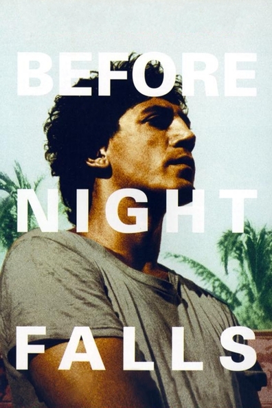 Movies Before Night Falls poster