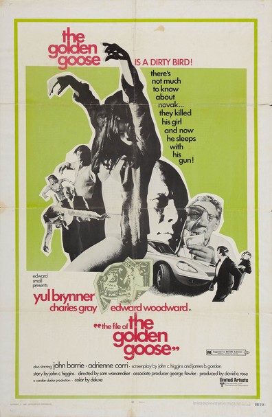 Movies The File of the Golden Goose poster