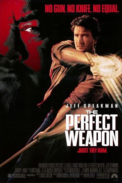Movies The Perfect Weapon poster