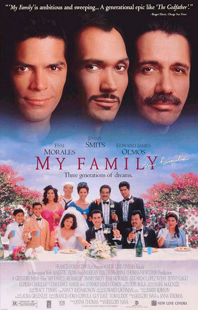 Movies My Family poster