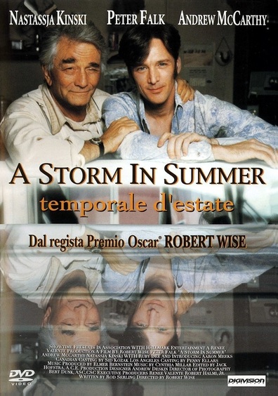 Movies A Storm in Summer poster