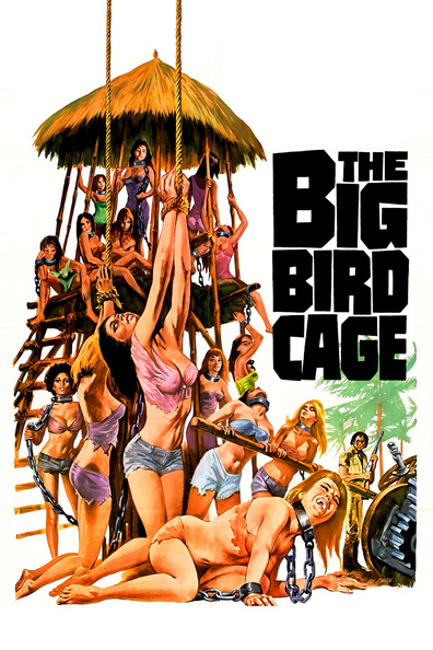 Movies The Big Bird Cage poster
