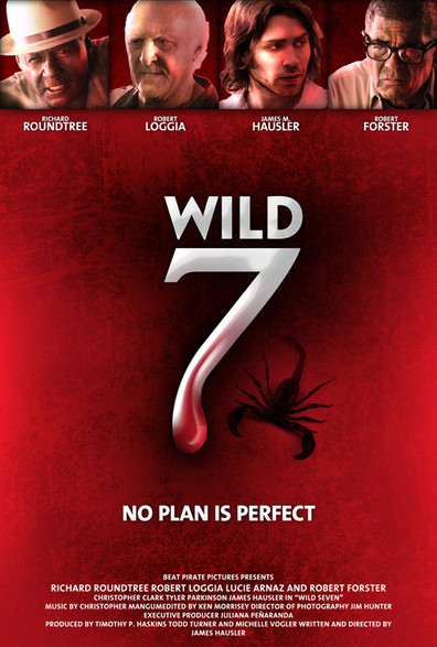 Movies Wild Seven poster