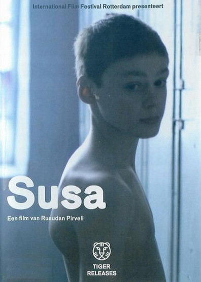 Movies Susa poster