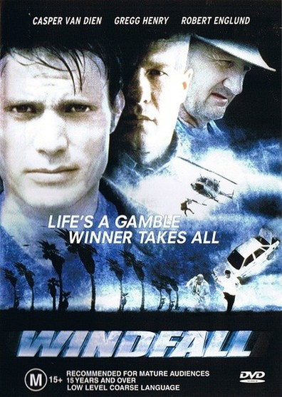 Movies Windfall poster