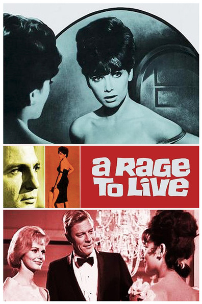 Movies A Rage to Live poster