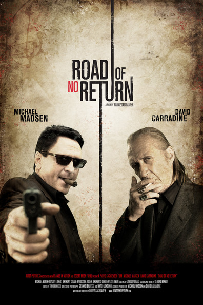 Movies Road of No Return poster