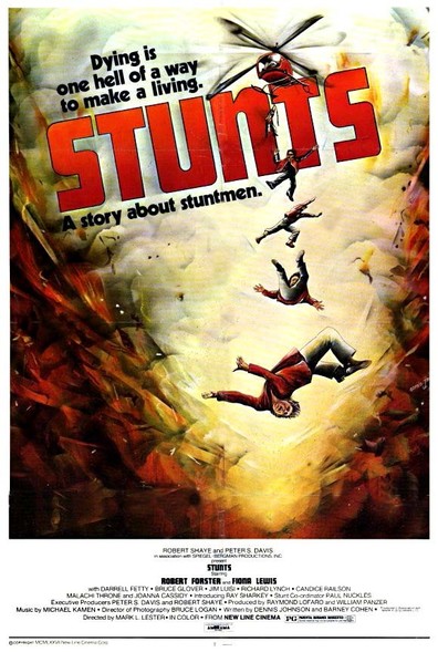 Movies Stunts poster