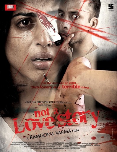 Movies Not a Love Story poster