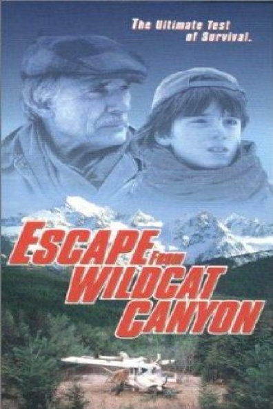Movies Escape from Wildcat Canyon poster
