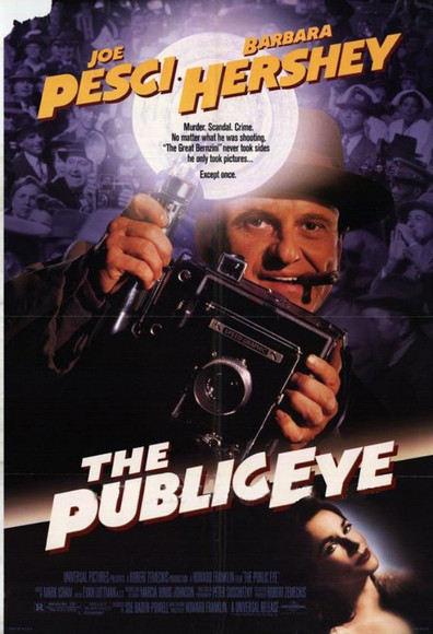 Movies The Public Eye poster