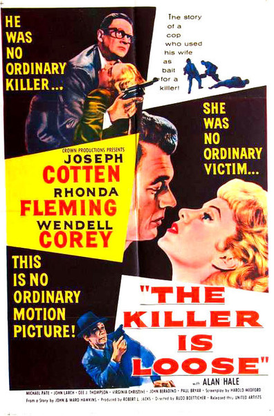 Movies The Killer Is Loose poster